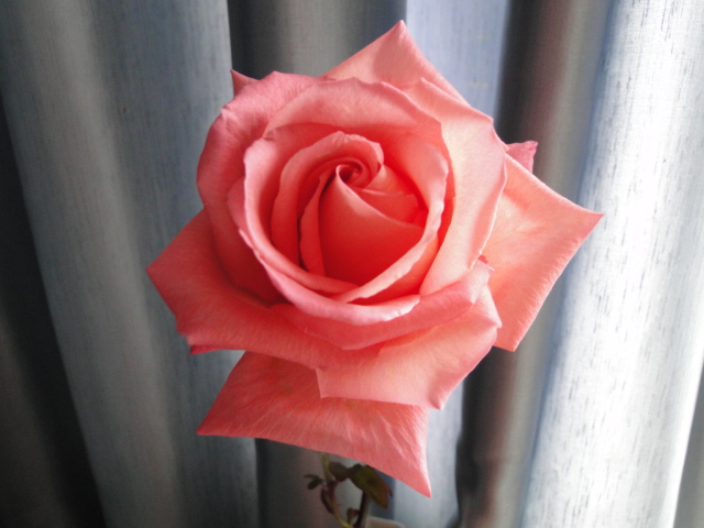 DSC09974.JPG