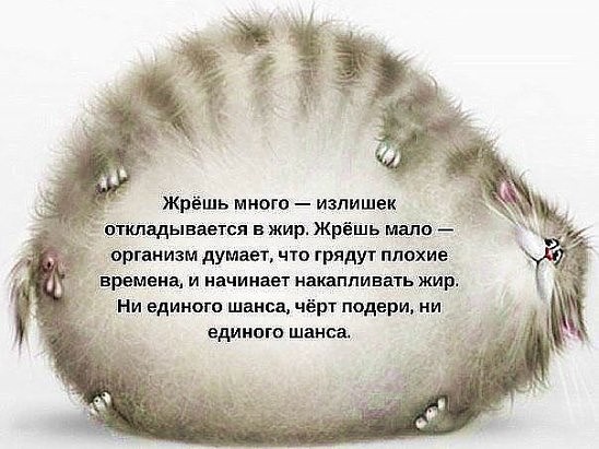 image (9).jpg