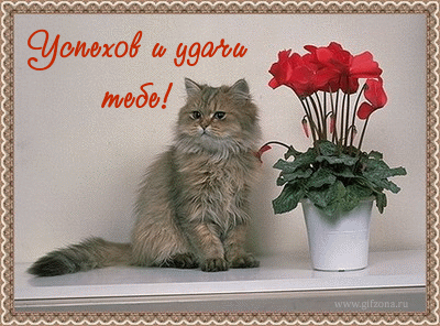 990400480.gif