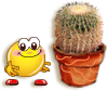 0_199b5_32d89a9f_XS.gif