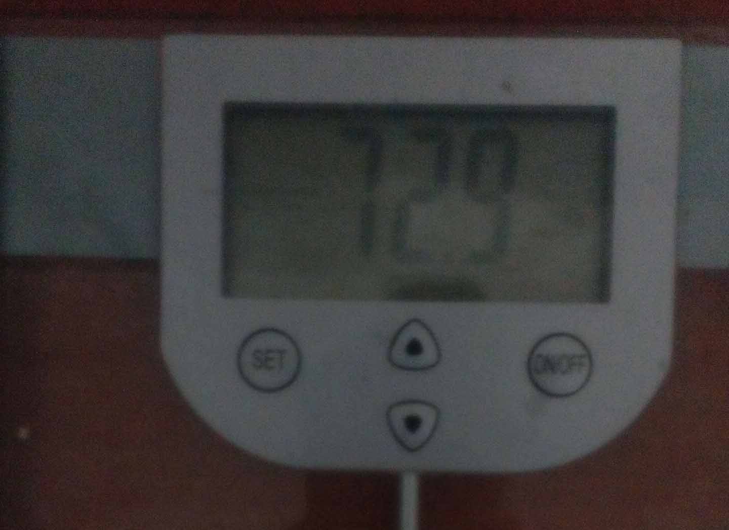 729.jpg