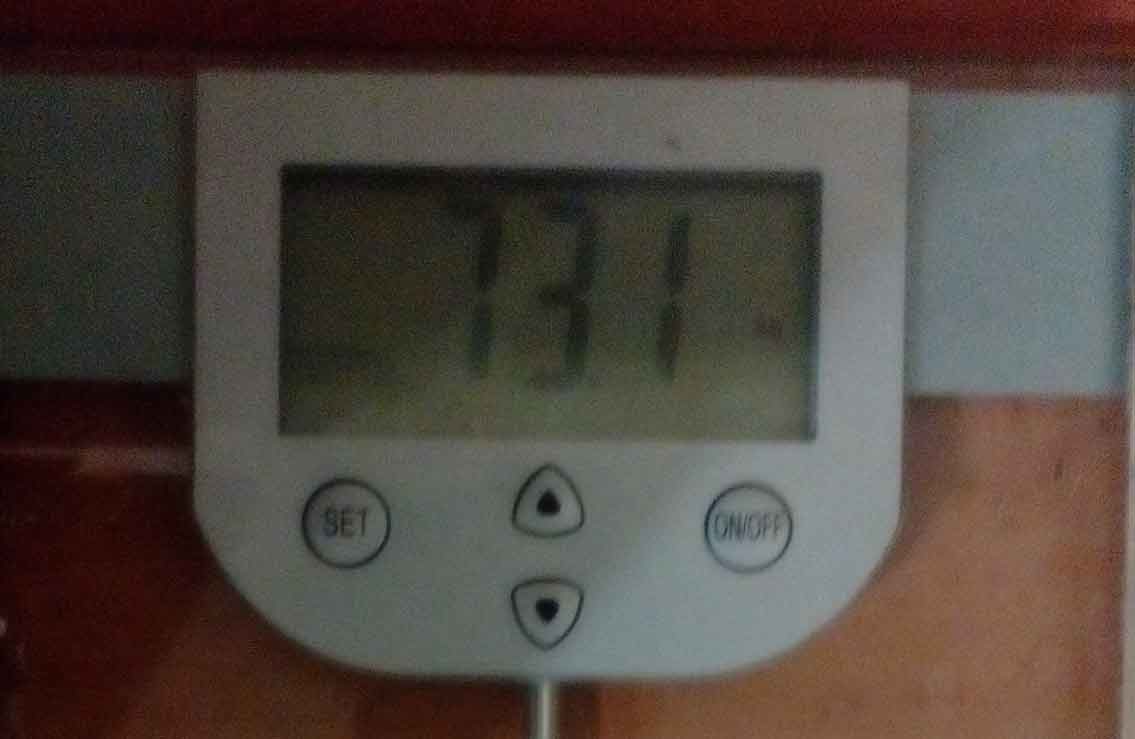 731.jpg