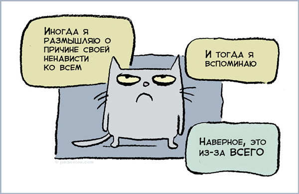 котэ-депрессия-ненависть-44282.jpeg