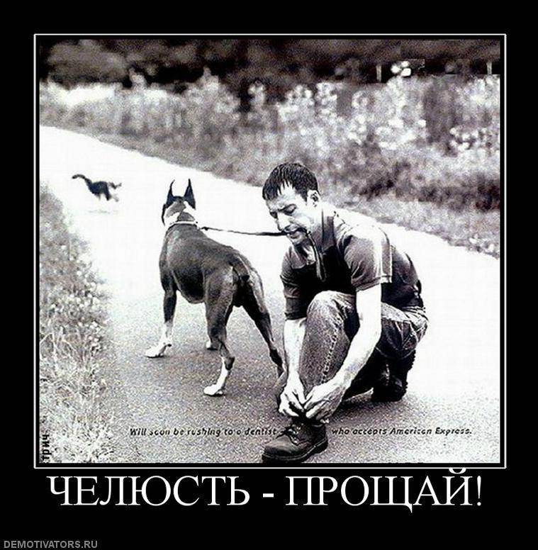 Челюсть брык.jpg