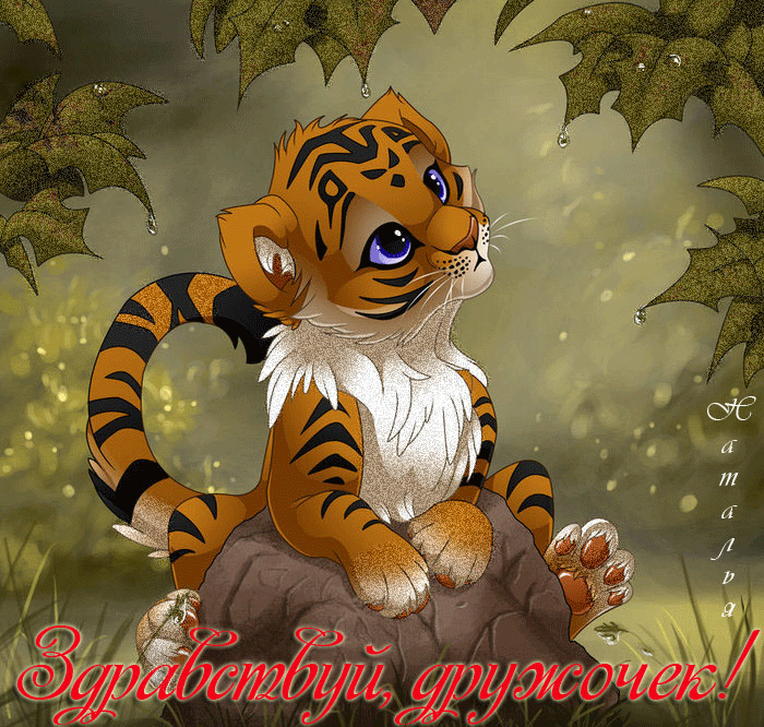 Здравствуй дружочек.gif