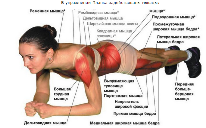 планка2.png