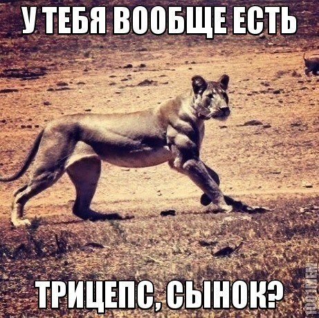 eIV186LcYnU.jpg