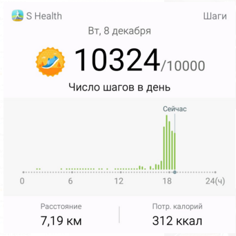 прогулка 08.12.png