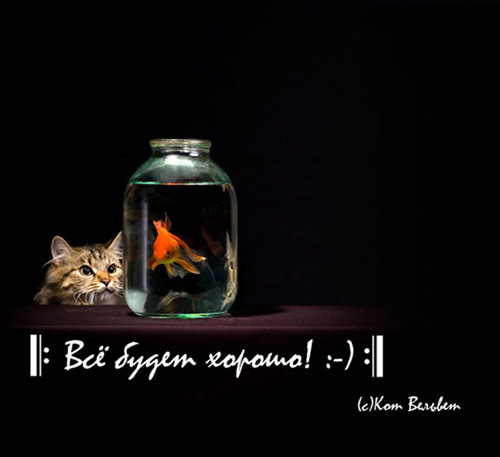 CatAndFishMiddle.jpg