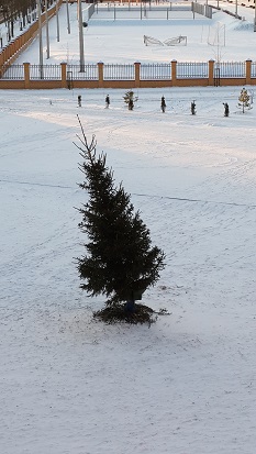 20151217_093405.jpg