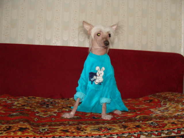 DSC01096.JPG
