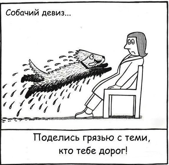 собачьи будни2.jpg