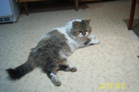 100_8495.JPG