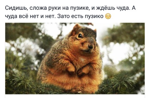 PicsArt_12-26-12.56.53.jpg