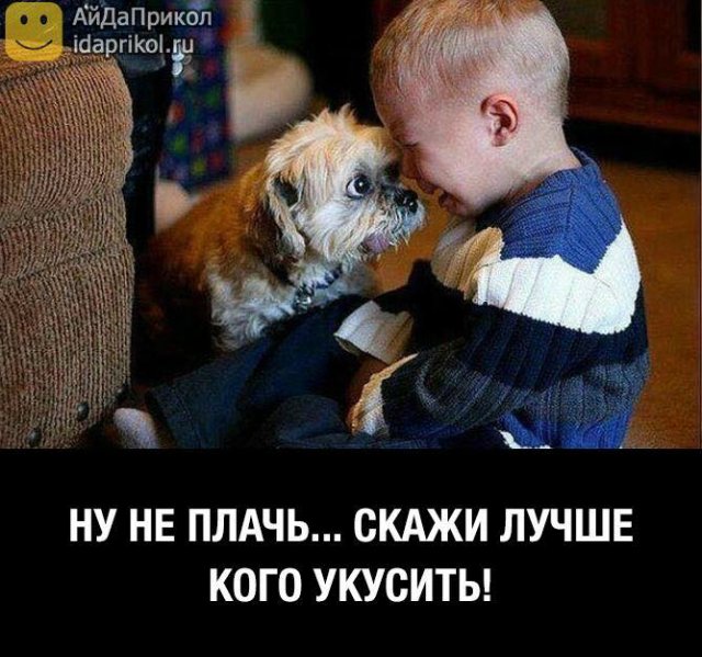 настоящий друг.jpg