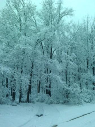 IMG_20151203_085533.jpg