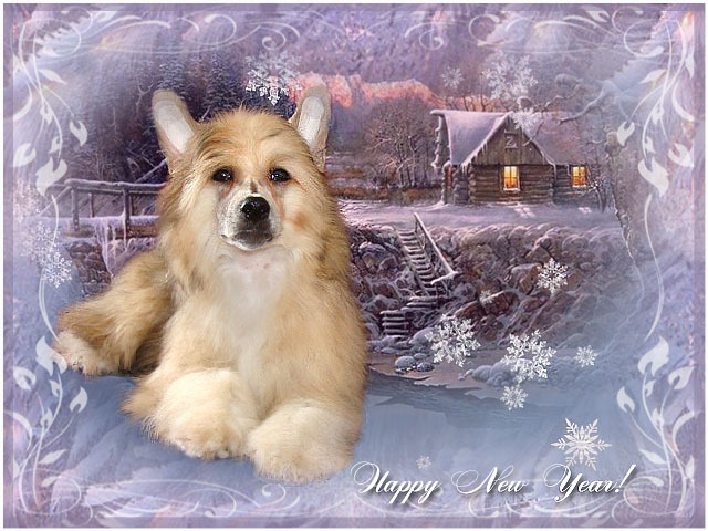 ГРЕЙ-НОВЫЙ ГОД 2013.jpg