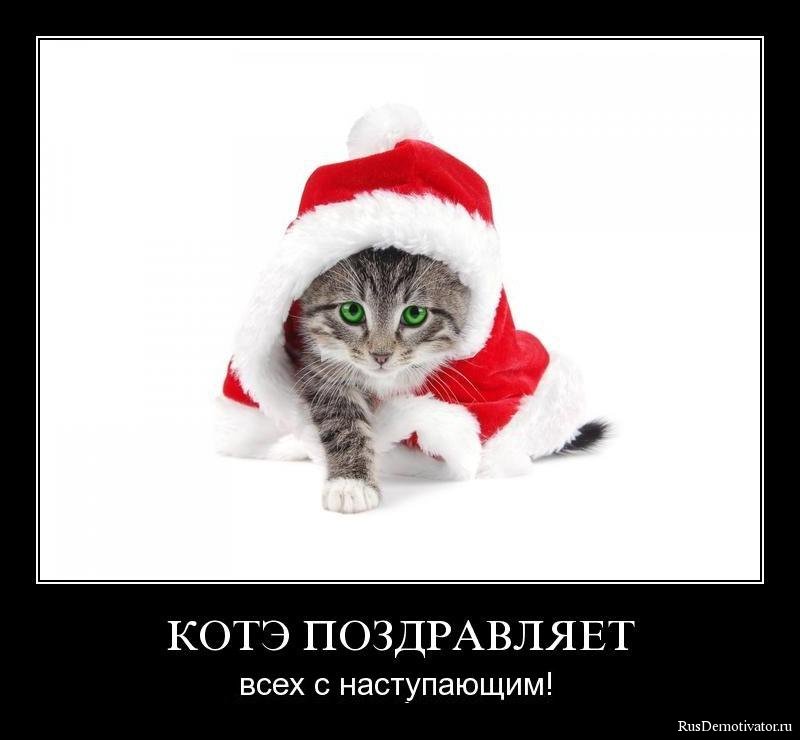 1261824135_01qpfqrf3cis.jpg