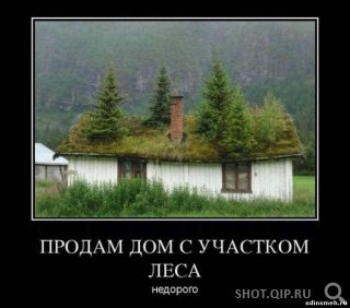Дом с участком леса.jpg