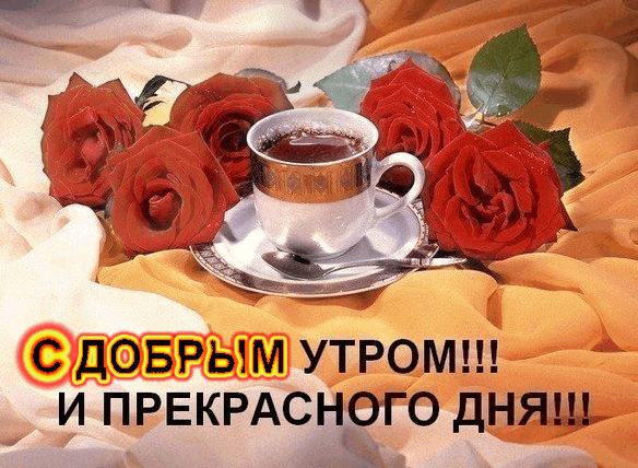 688793816.gif