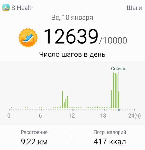 прогулка 10.01.png