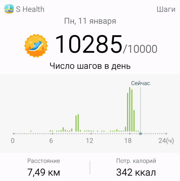 прогулка 11.01.png
