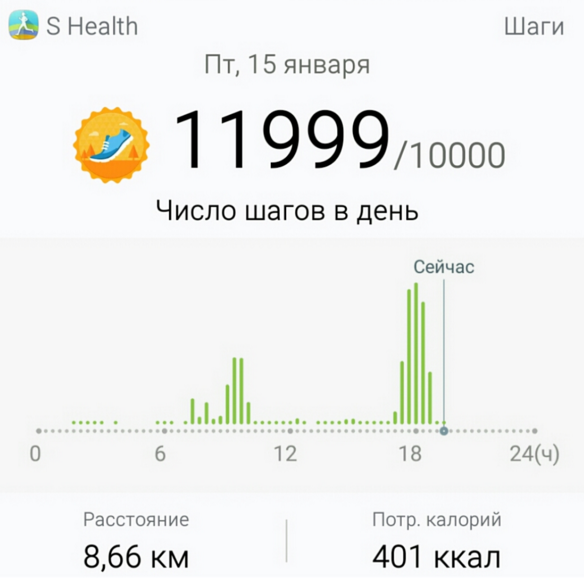 прогулка 15.01..png
