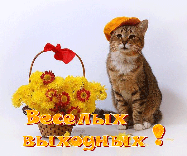 ���87��.gif