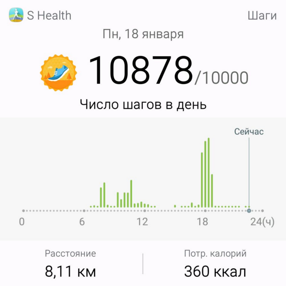 прогулка 18.01.png