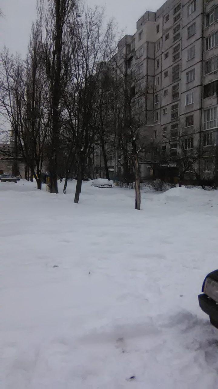 530bb9df3877071b1c5495c642187e68908fa220f0e8f705bd434a1fbf13630d.jpg