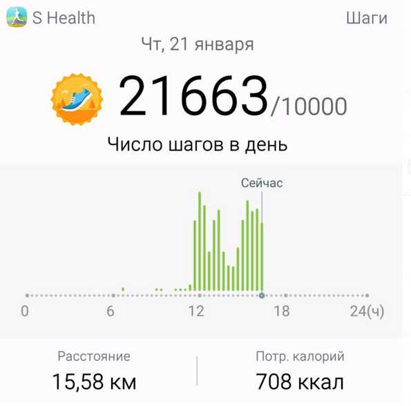прогулка 21.01.16.png
