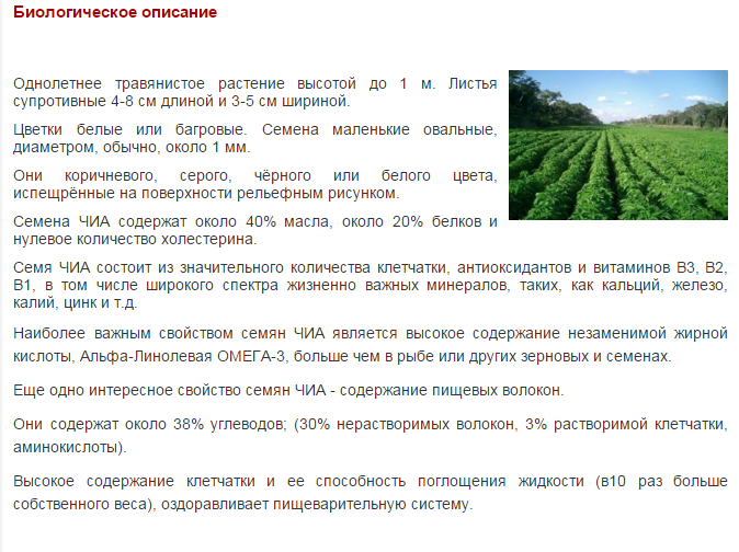 чиа.png