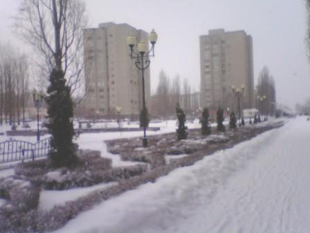 мой сквер.jpg