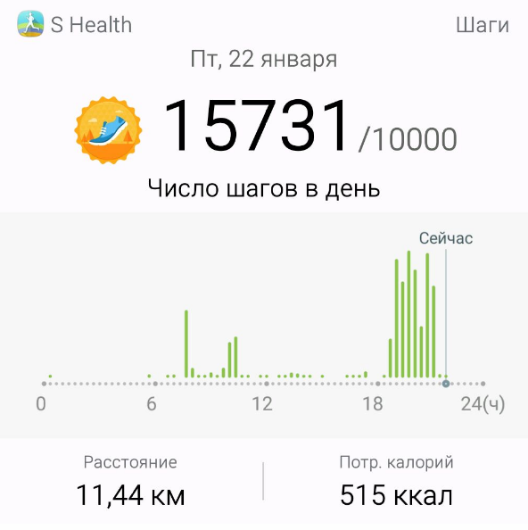 прогулка 22.01.16.png