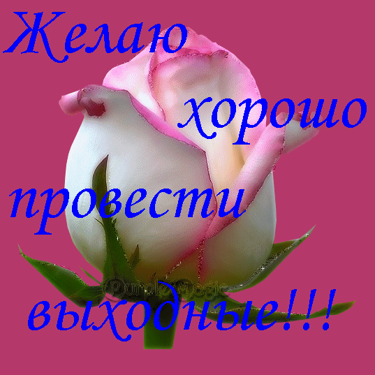 d9681a6991dd710f60bcbcc4e69f9525_i-949.gif
