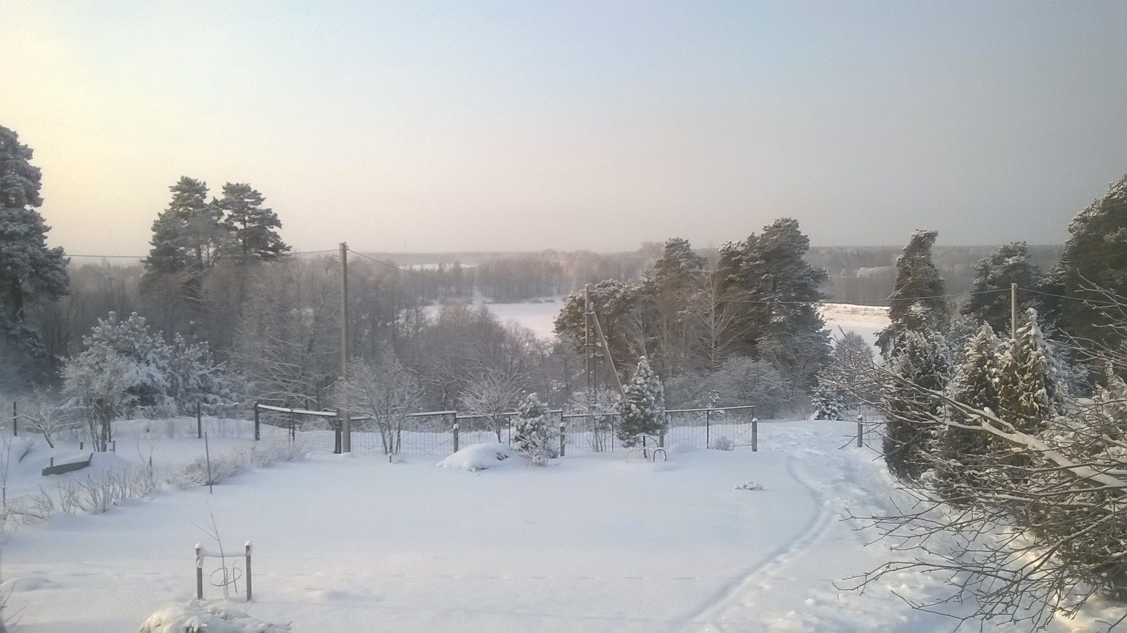 WP_20160124_001.jpg