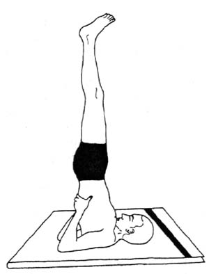 sarvangasana.jpg