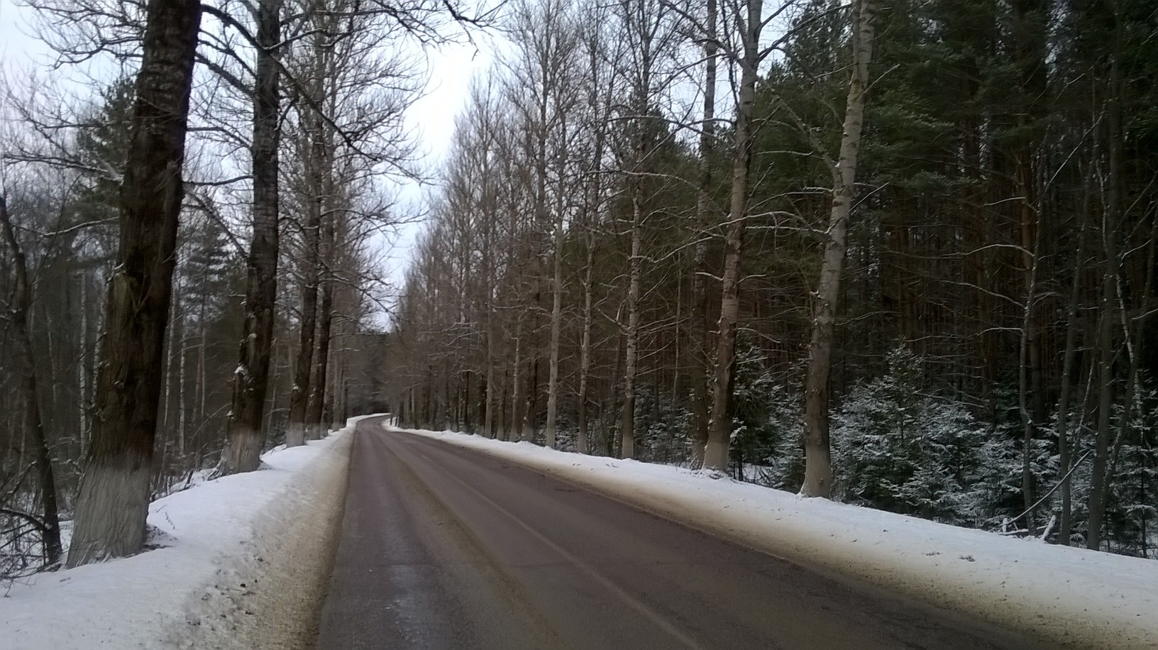 WP_20160206_005.jpg