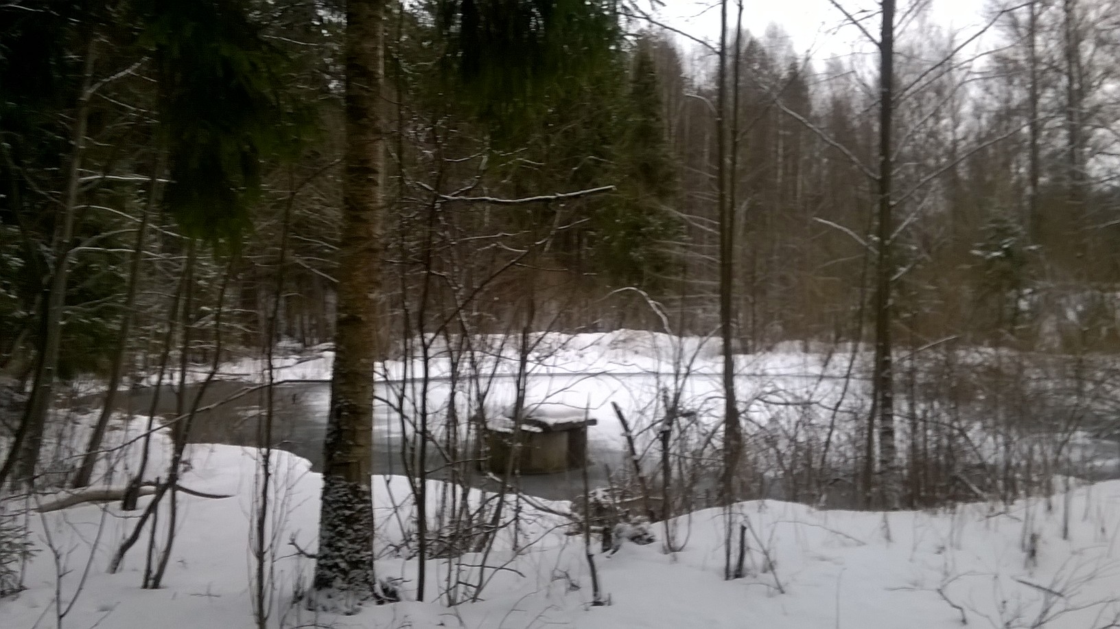 WP_20160206_009.jpg