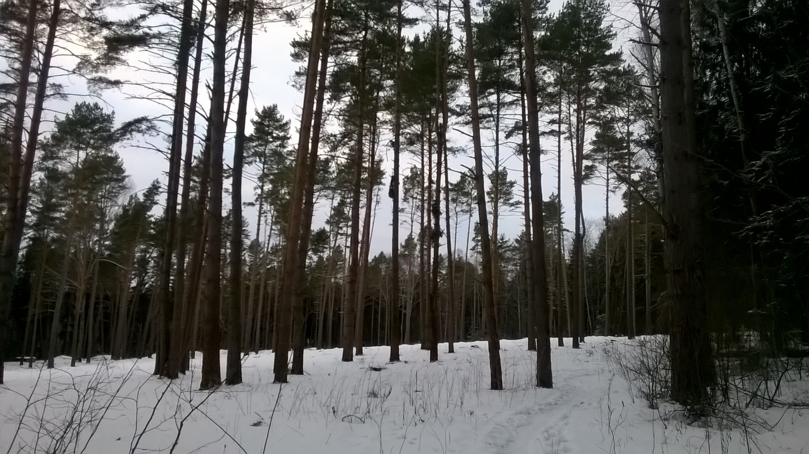 WP_20160206_011.jpg