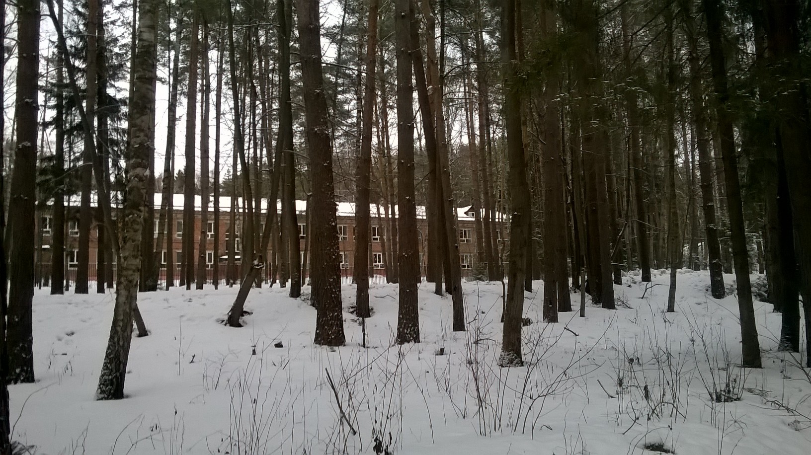 WP_20160206_014.jpg