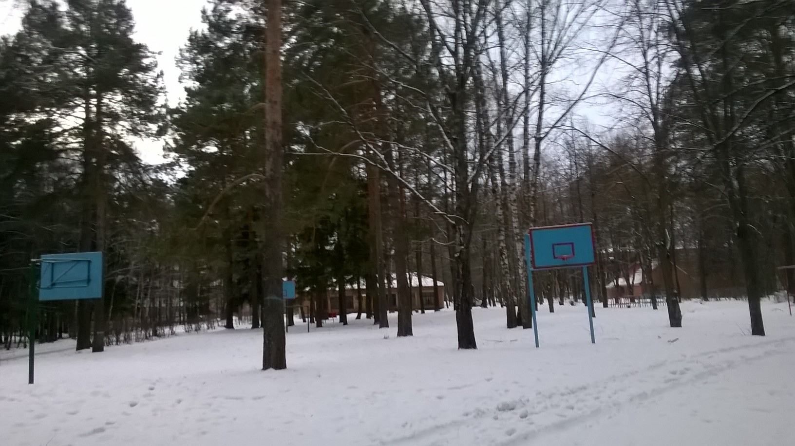 WP_20160206_016.jpg