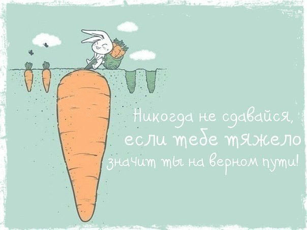 image (1).jpg