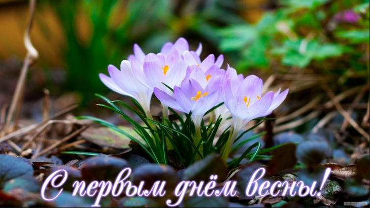 с первым днем весны!.png