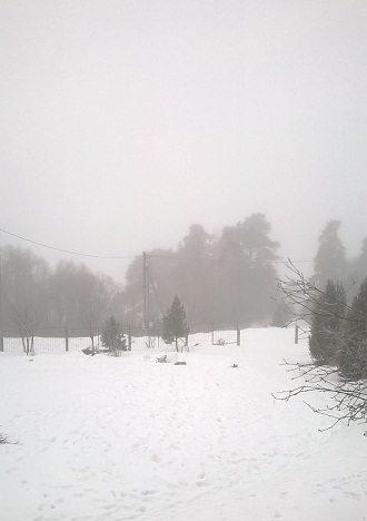 WP_20160301_001.jpg