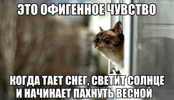 1456817193.jpg