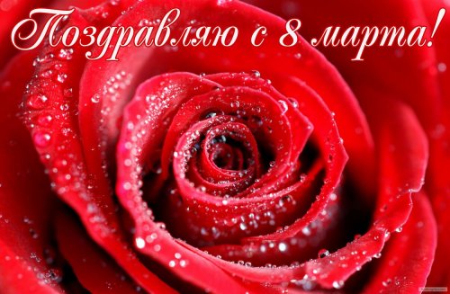 s8marta57_500x327.jpg
