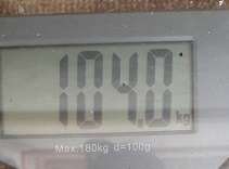 20160314_083231.jpg
