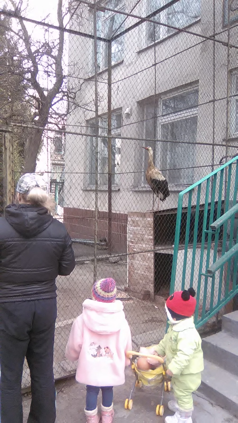 WP_20160312_004.jpg