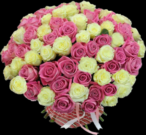 724x671xroze10_png_pagespeed_ic_wqWg2OXRH__298x276.png